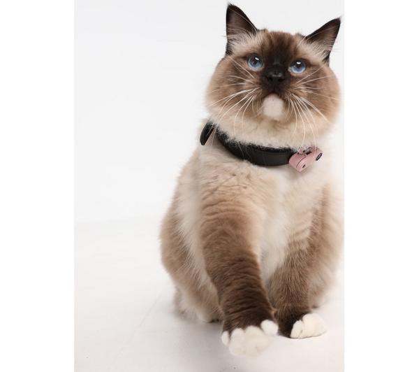 TICKLESS Mini Cat Rechargeable Ultrasonic Tick & Flea Repeller - Black