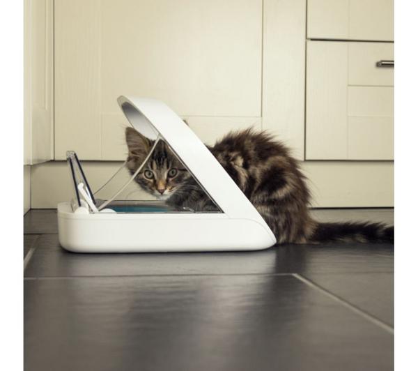 SUREFEED Microchip Pet Feeder - White