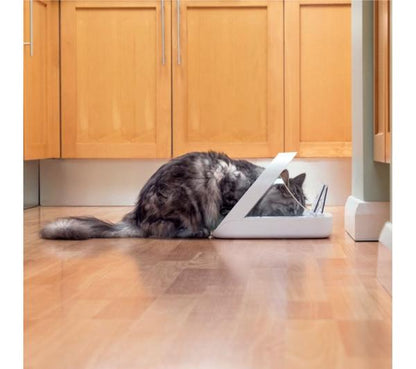 SUREFEED Microchip Pet Feeder - White