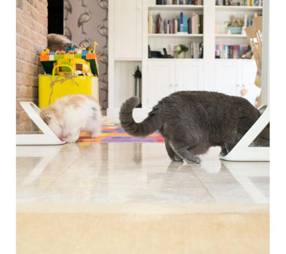 SUREFEED Microchip Pet Feeder - White