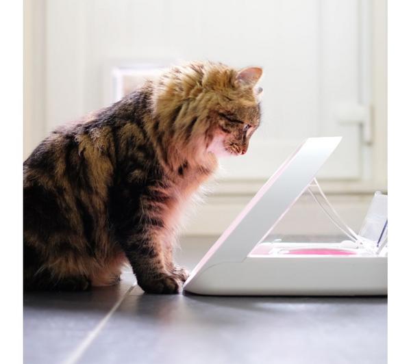 SUREFEED Microchip Pet Feeder - White