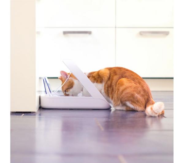 SUREFEED Microchip Pet Feeder - White