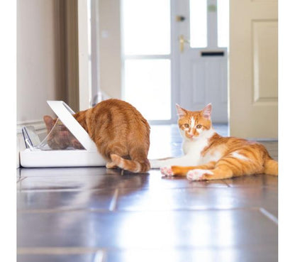 SUREFEED Microchip Pet Feeder - White