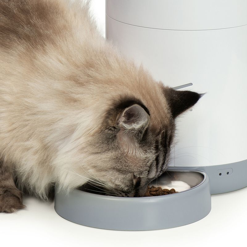 Catit PIXI Smart Automatic Feeder