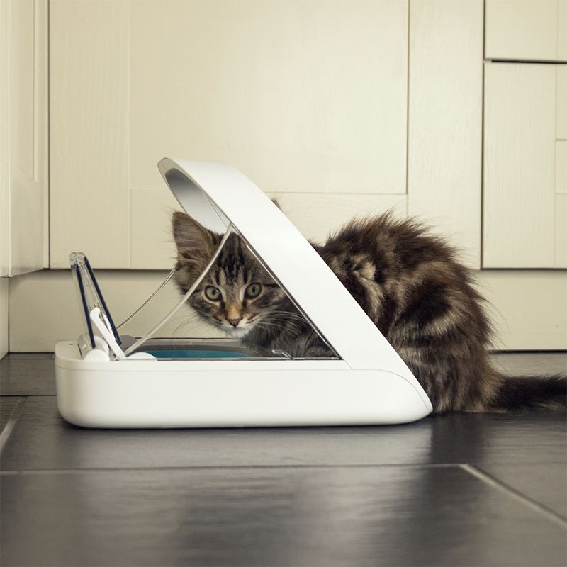 SureFeed Microchip Pet Feeder
