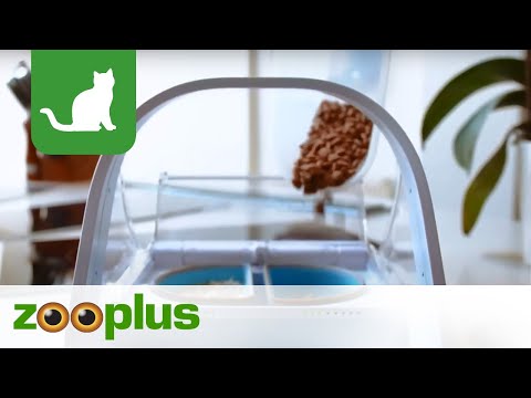 SureFeed Microchip Pet Feeder Connect